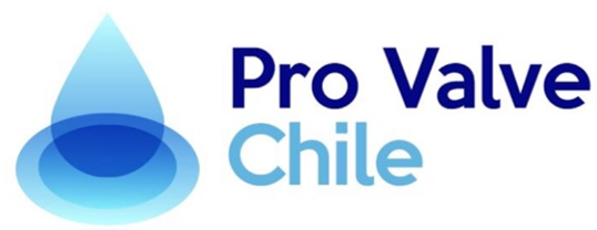 Pro Valve Chile logo